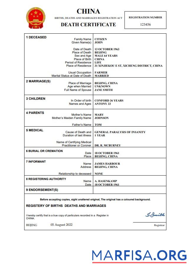 Realistic China vital record death certificate Word and PDF template